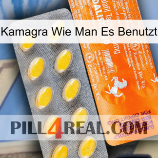 Kamagra How To Use new05